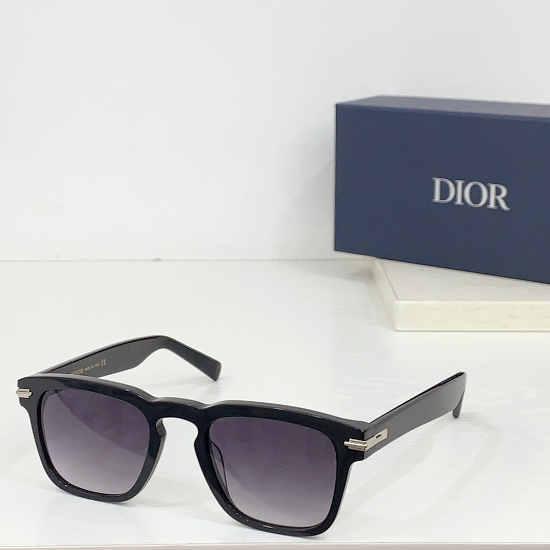 Dior Sunglasses BLACKSUIT S110 SM031