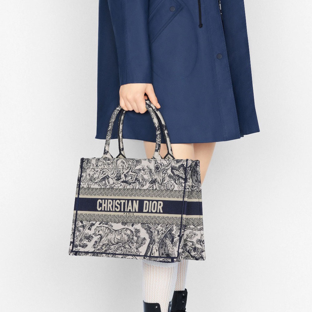 Dior Medium Book Tote Bag Handbag
