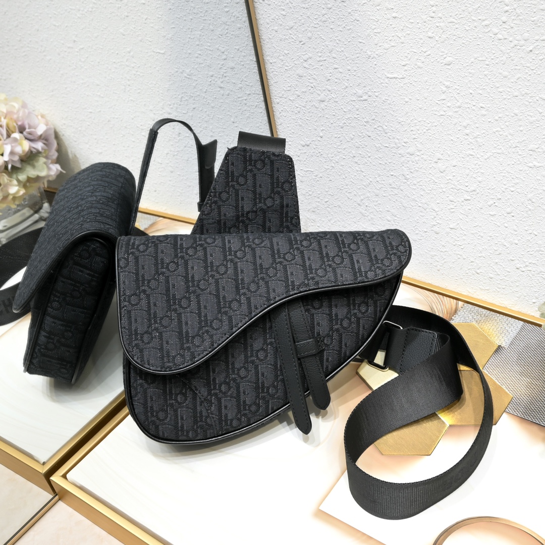 Dior Homme Pre-Fall Saddle Ophidia Shoulder Bag Handbag