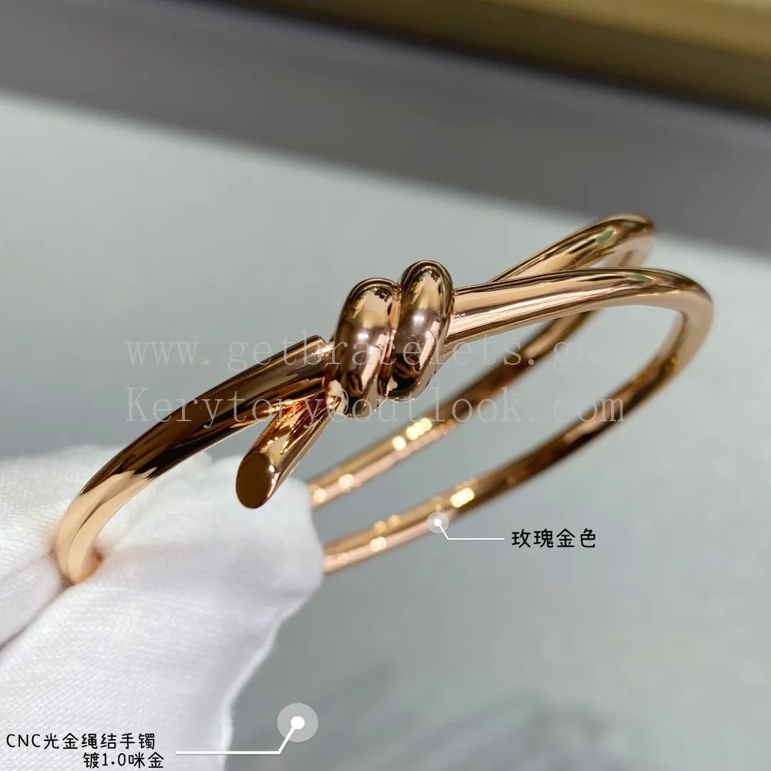 Tiffany Double Row Hinged Bangle in Rose Gold/Yellow Gold