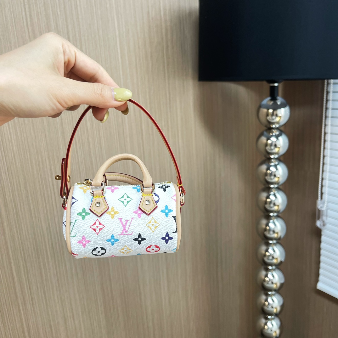 Louis Vuitton Micro Bag Leather Keychain Pendant Accessories
