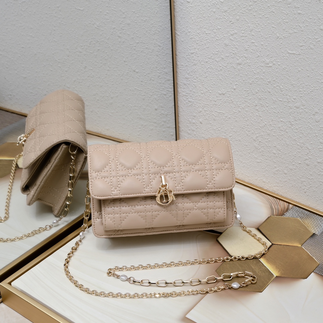 Dior Lady Dior Daily Chain Pouch Cannage lambskin Shoulder Bag Handbag