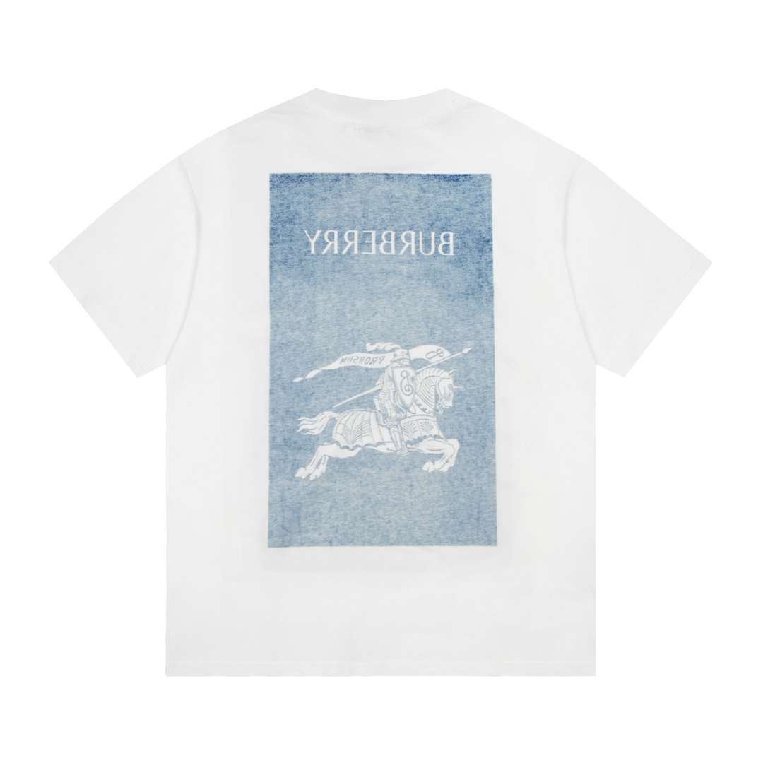 Burberry T-Shirts 014
