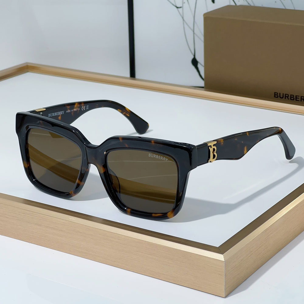 Burberry Mirror leg Logo Sunglasses Top quality （Replica）