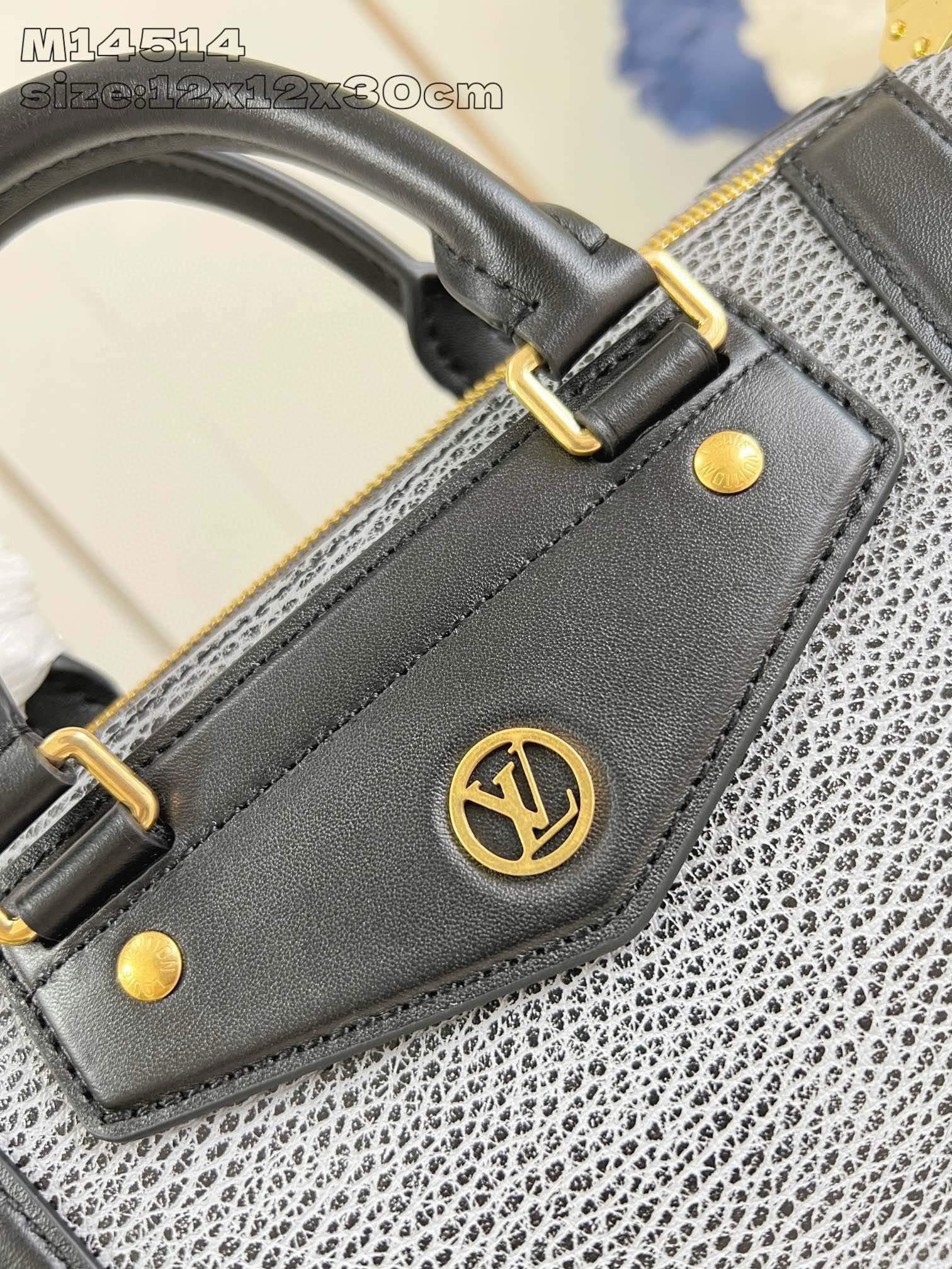 Louis Vuitton Biker Small Bag 2025SS(12A)