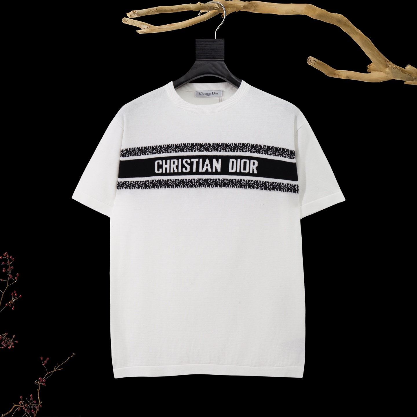Dior T-Shirts 009