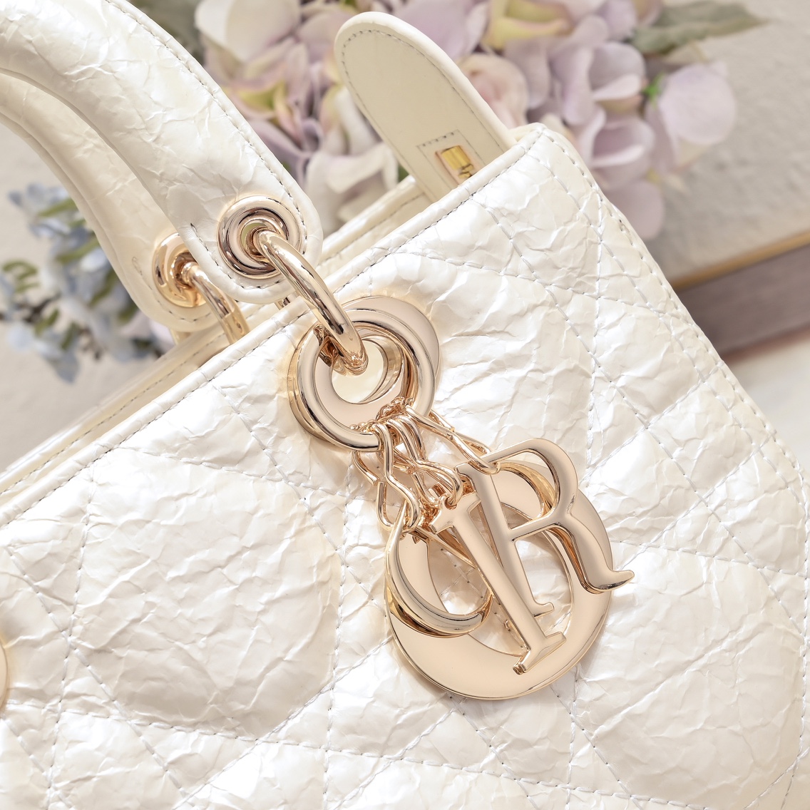 Dior Lady D-sire My Abcdior Horizontal Tote Bag Small Shoulder Bag Handbag