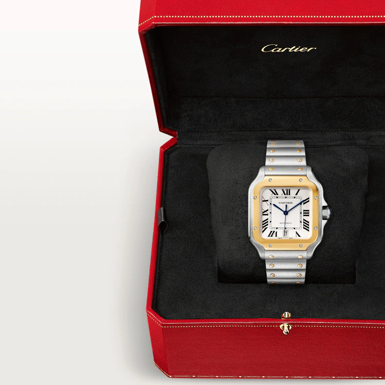 CARTIER SANTOS Gold Mix 39mm