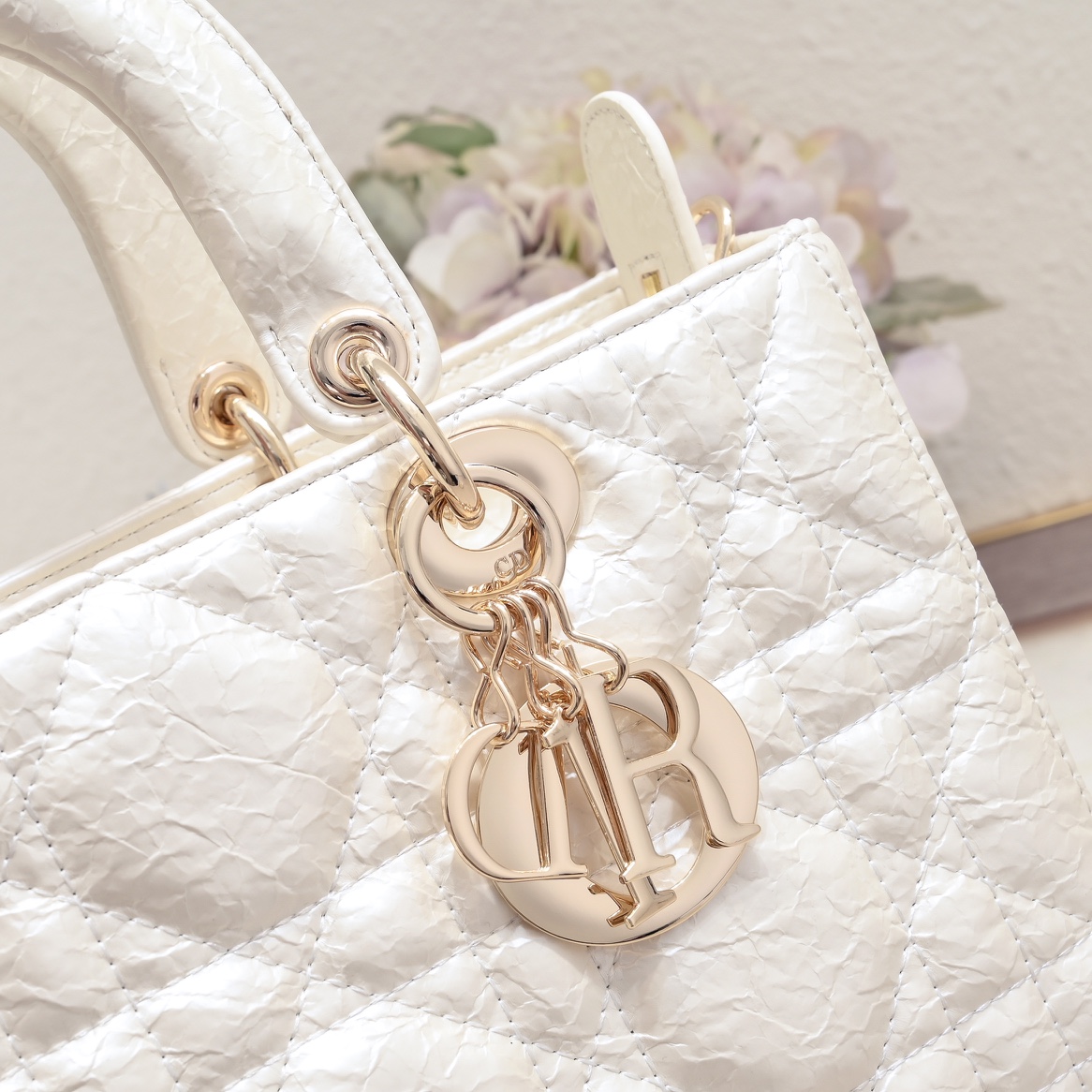 Dior Lady D-sire My Abcdior Horizontal Tote Bag Middle Shoulder Bag Handbag