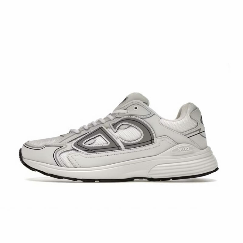 DIOR B30 Sneakers(Replica)
