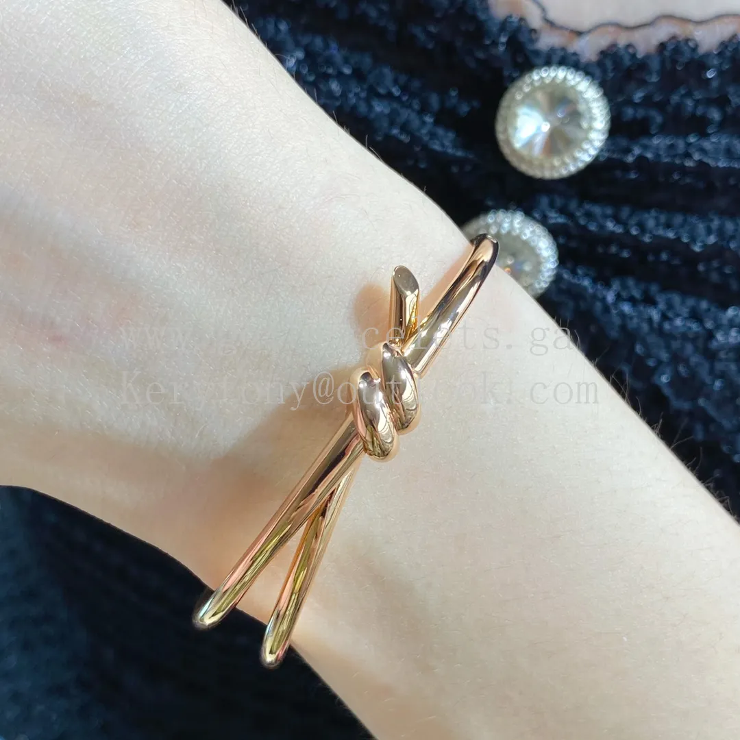 Tiffany Double Row Hinged Bangle in Rose Gold/Yellow Gold