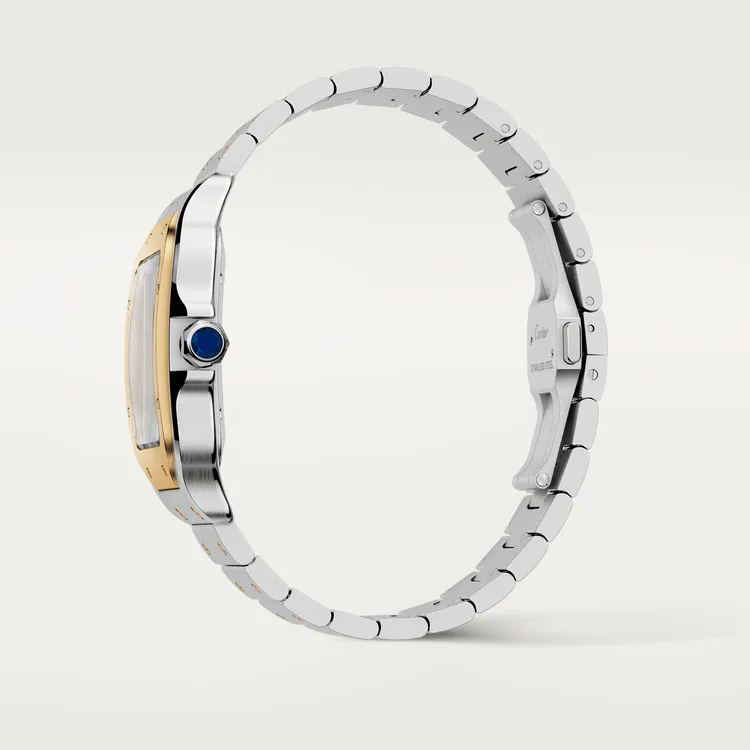 CARTIER SANTOS Gold Mix 39mm