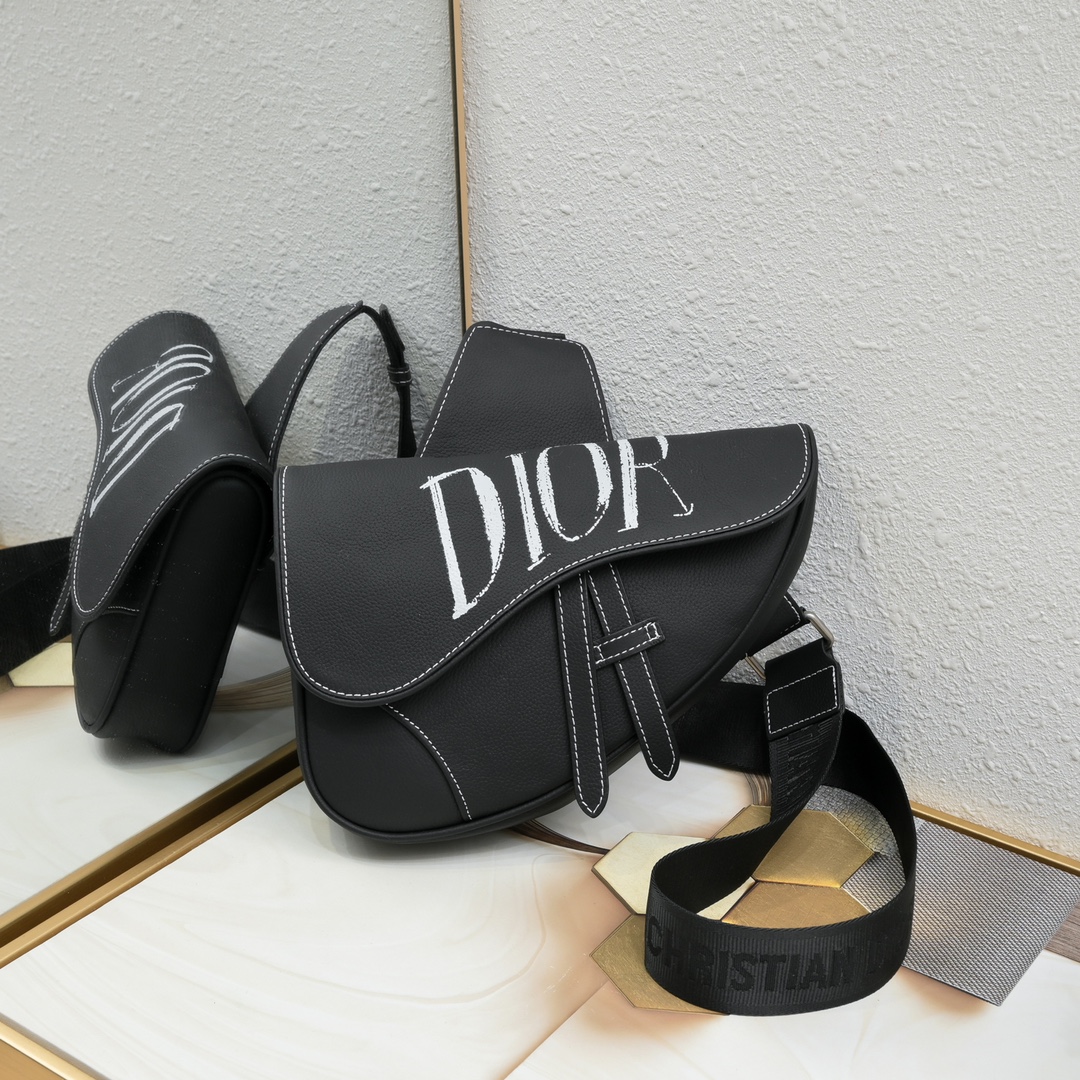 Dior Homme Pre-Fall Saddle Ophidia Shoulder Bag Handbag