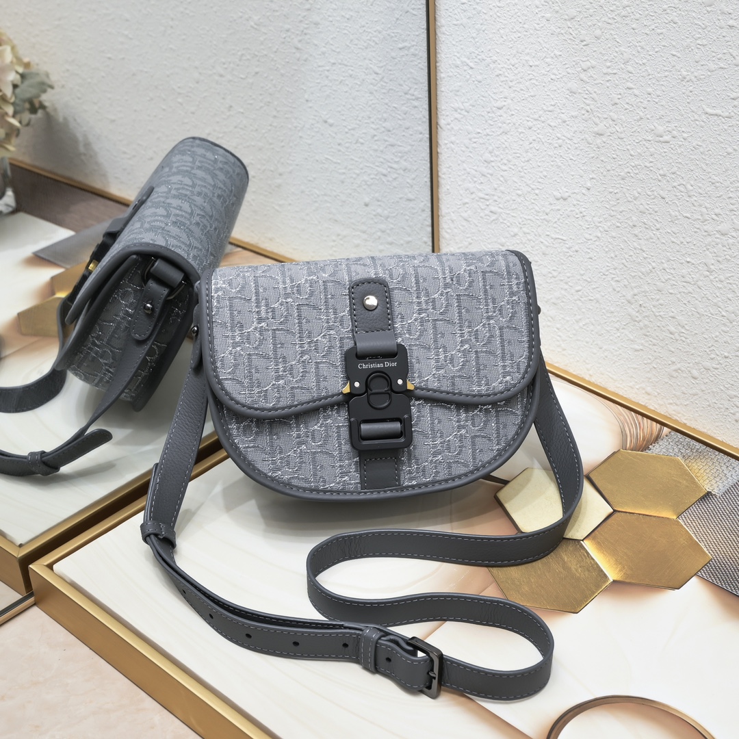 Mini Dior Tears Gallop Bag Gray print 1070 XB002 20.5cm