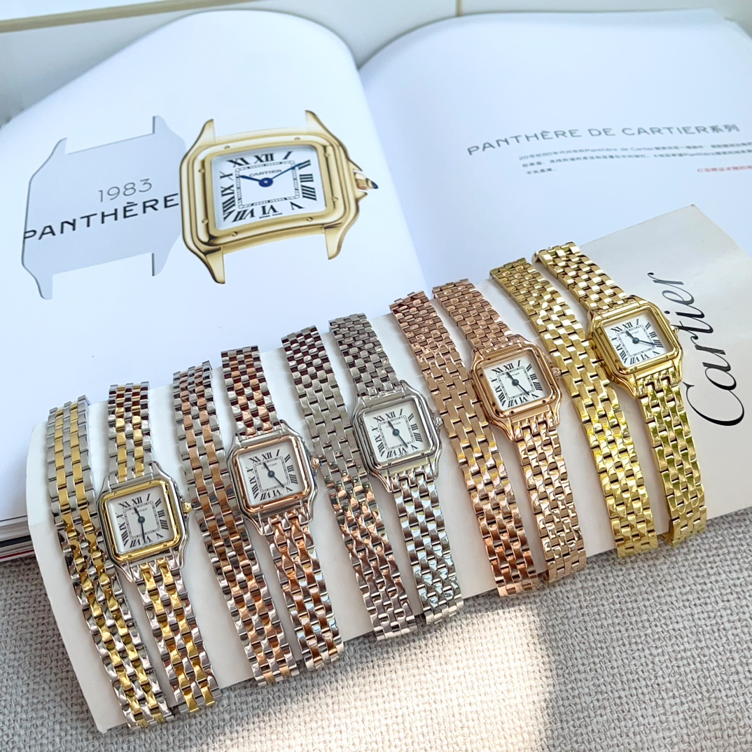 Panth猫re de Cartier double chain 22*30mm