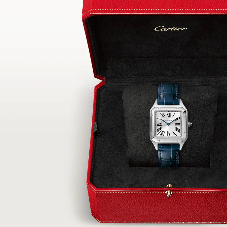 CARTIER SANTOS-DUMONT Blue Strap 38mm
