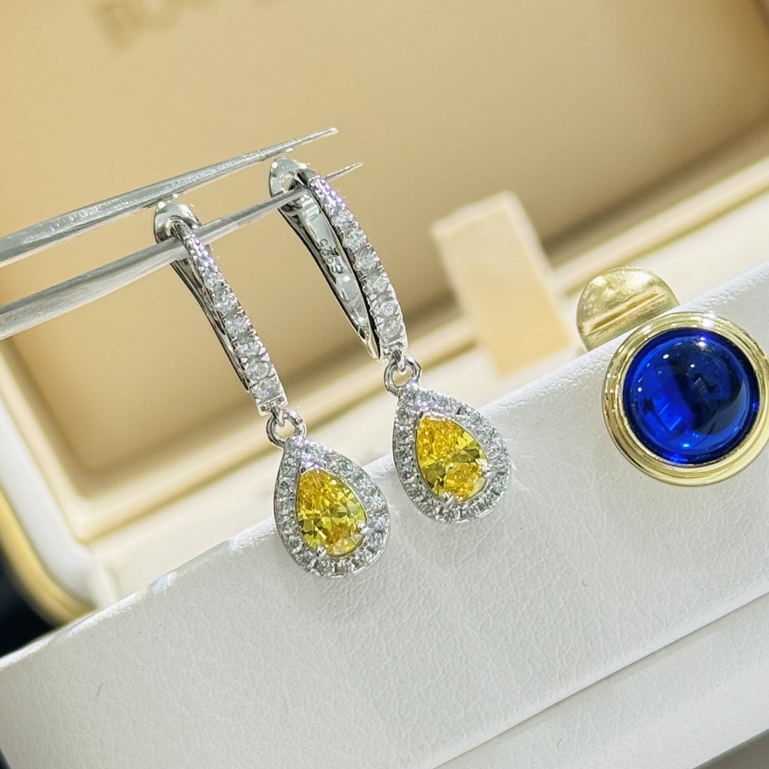 Tiffany & Co. Earring 006